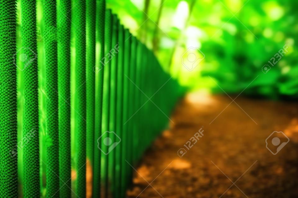 Zaun und Geländer im tropischen Regenwald