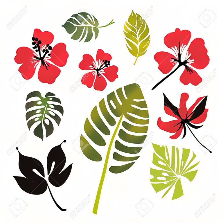 Набор тропических листьев и цветков гибискуса цветок Гаваи на белом фоне. Векторная иллюстрация