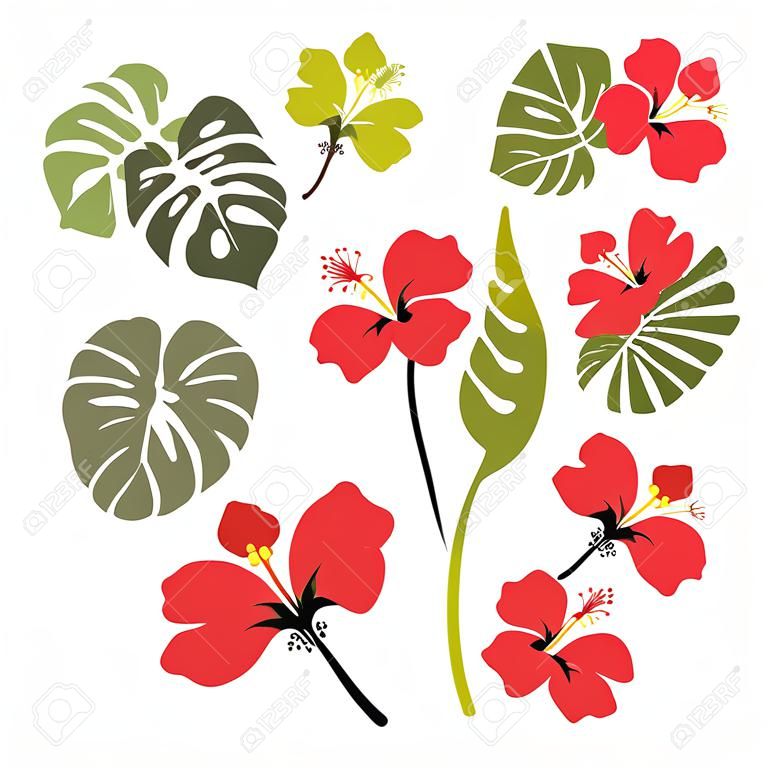 Állítsa be a trópusi levelek és virágok hibiszkusz virág, hawaii elszigetelt fehér háttérrel. Vektor illusztráció
