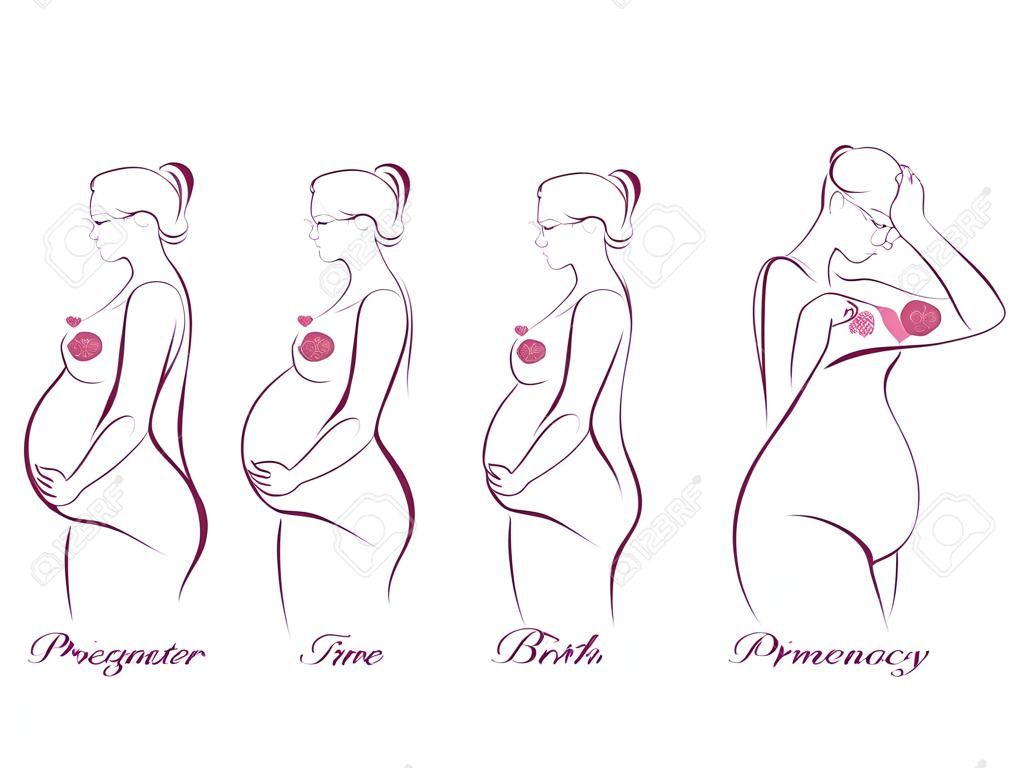 Étapes de la grossesse, des trimestres et la naissance, la femme enceinte et le bébé sur fond blanc