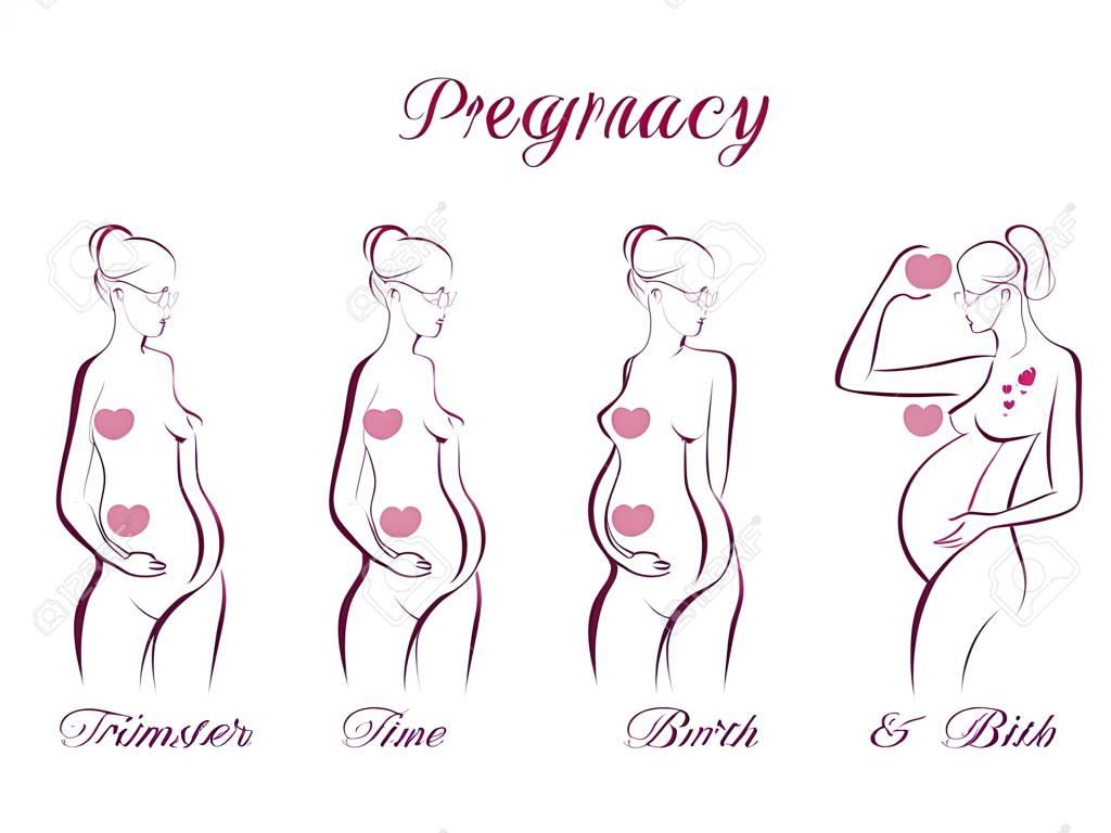 Étapes de la grossesse, des trimestres et la naissance, la femme enceinte et le bébé sur fond blanc