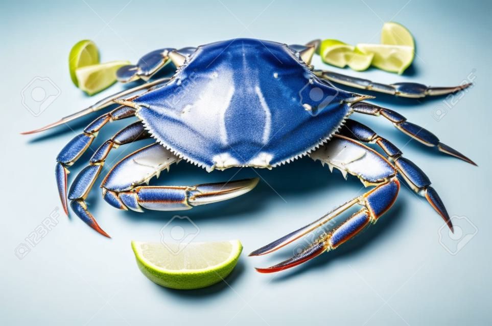 Rauwe blauwe krab voor het koken, liggend op een witte plaat met een limoenschijf. Over witte achtergrond
