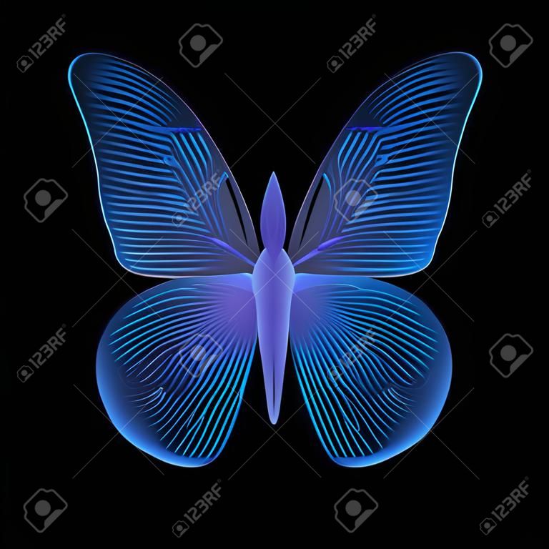 Piękny niebieski motyl na czarnym tle.