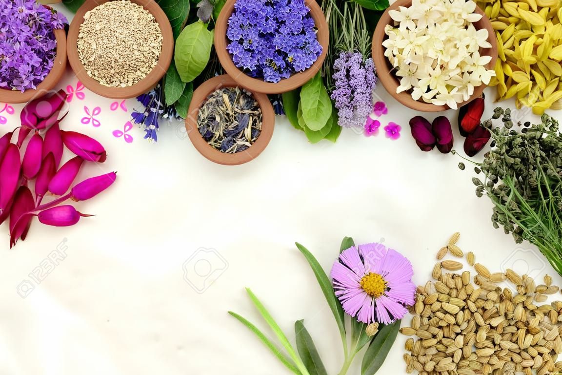薬用ハーブと花の境界線は、自然の漢方薬や羊皮紙の背景にホメオパシーの治療薬で使用される新鮮で乾燥したハーブや花と。