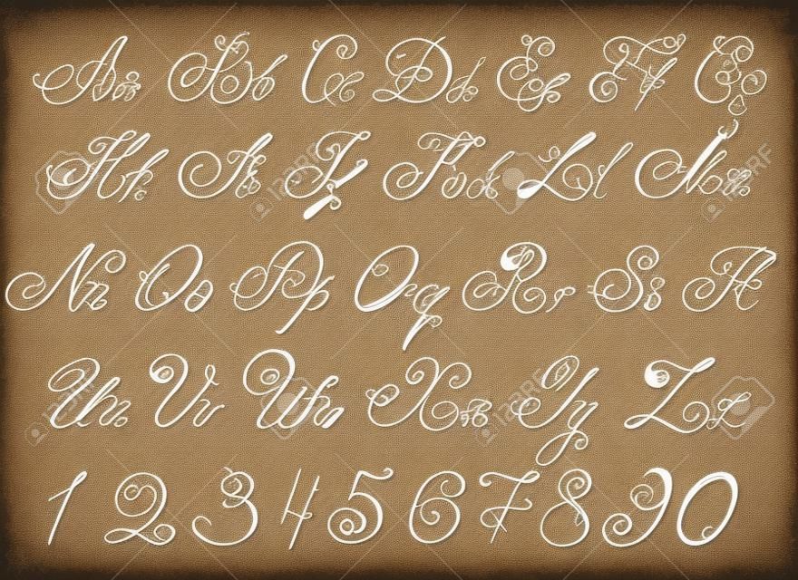 Vector dibujado a mano las letras del alfabeto dibujado a mano caligráficas