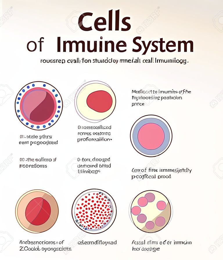 Komórki układu odpornościowego. świadczenie medyczne, badania immunologii. elementy projektu.