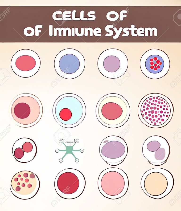 Cellule del sistema immunitario. beneficio medico, lo studio dell'immunologia. elementi di design.