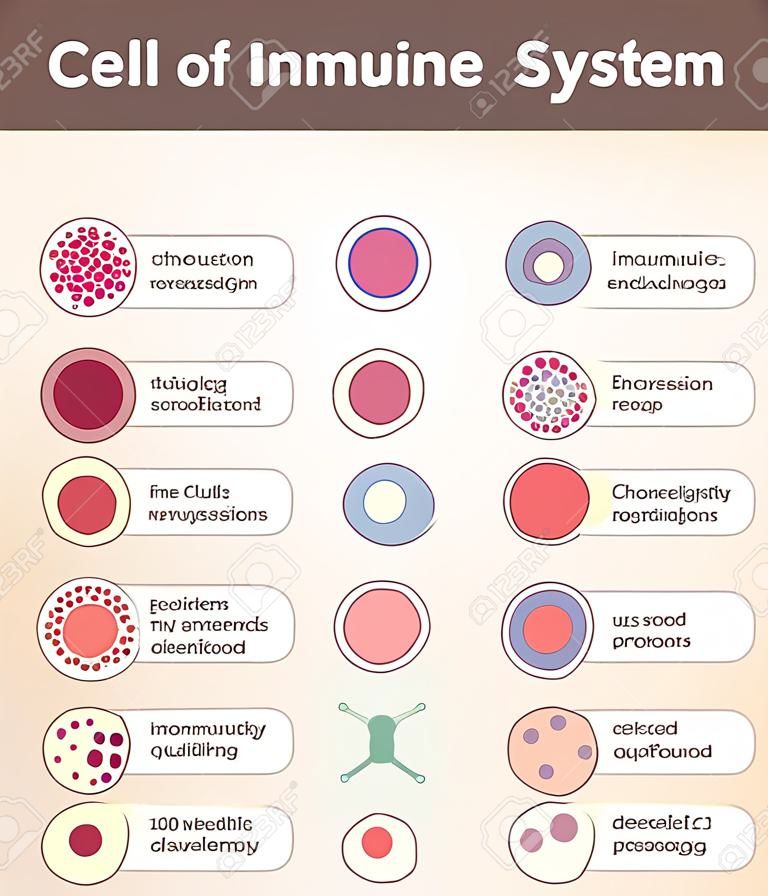 Cellule del sistema immunitario. beneficio medico, lo studio dell'immunologia. elementi di design.