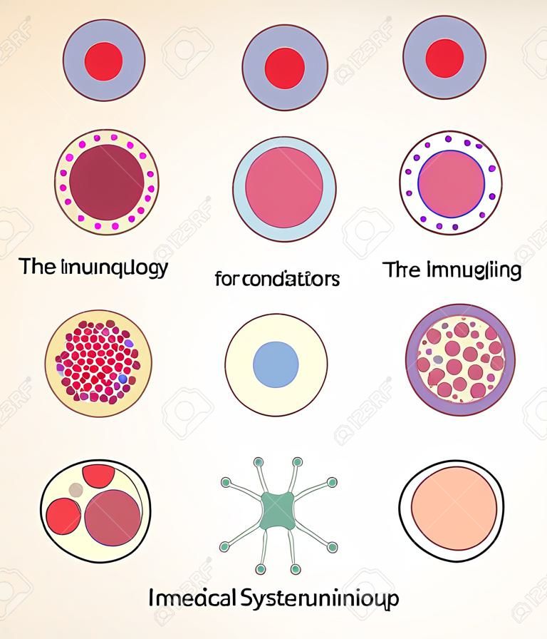 Cells of immune system. Medical benefit, the study of immunology. design elements.