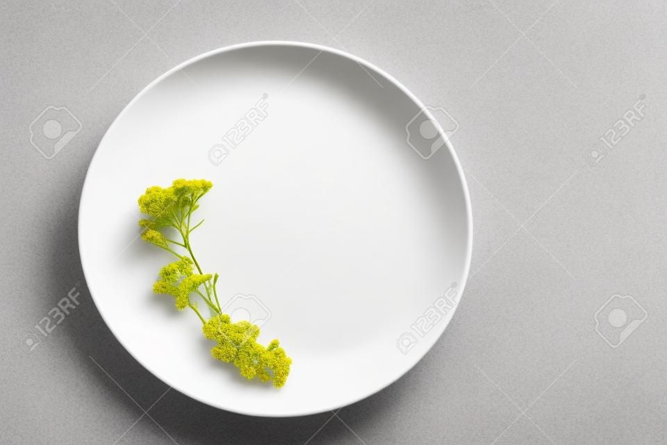 꽃과 하얀 접시의 최소한의 구성. Achillea. 평평한 평지