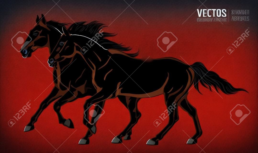 Beautiful arabian horses. Silhouettes of a running horses. Galloping animal. Sport. Vector illustration