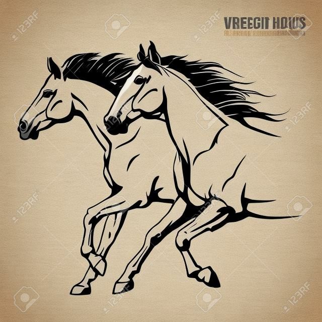 Beaux chevaux arabes. Silhouettes d'un cheval courant. Animal au galop. Sport. Illustration vectorielle