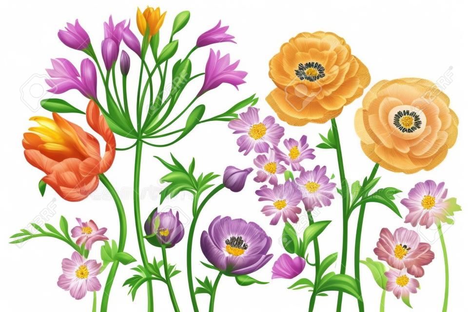Bouquet de flores de primavera florescendo. Mão desenho tulipa, lírio africano, ranunculus, anêmonas, lilás, impressão freesia folha de ouro no fundo branco. Ilustração vetorial arte design floral.