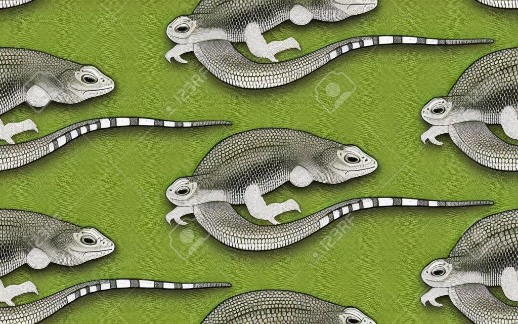 Lizards. Seamless pattern. Black and white reptile vector illustration. Hand realistic drawing. Vintage engraving.