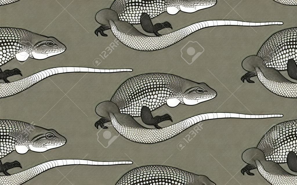 Lizards. Seamless pattern. Black and white reptile vector illustration. Hand realistic drawing. Vintage engraving.