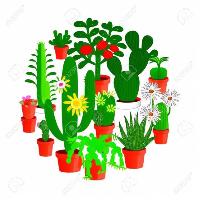 Vector illustration set of blooming flowers home cactus in pots isolated on white background.