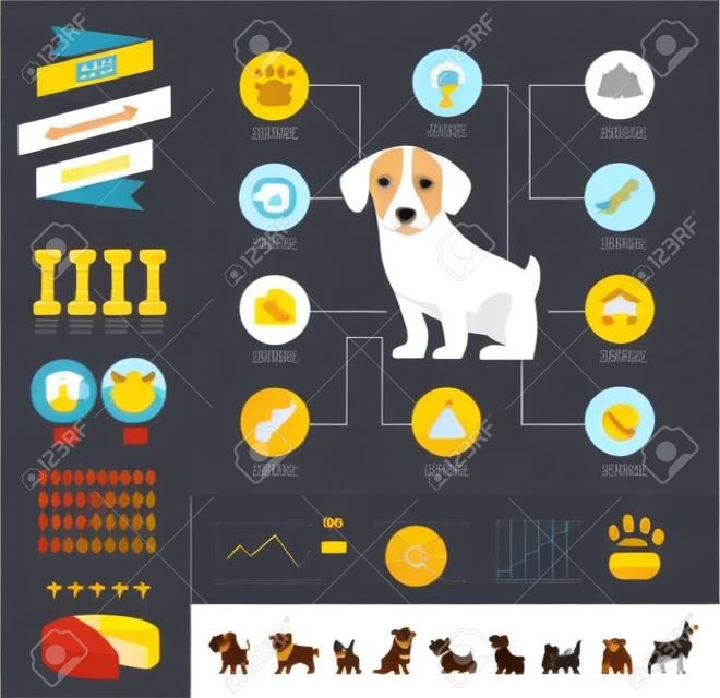 Psy infografiki - ilustracji wektorowych i zestaw ikon