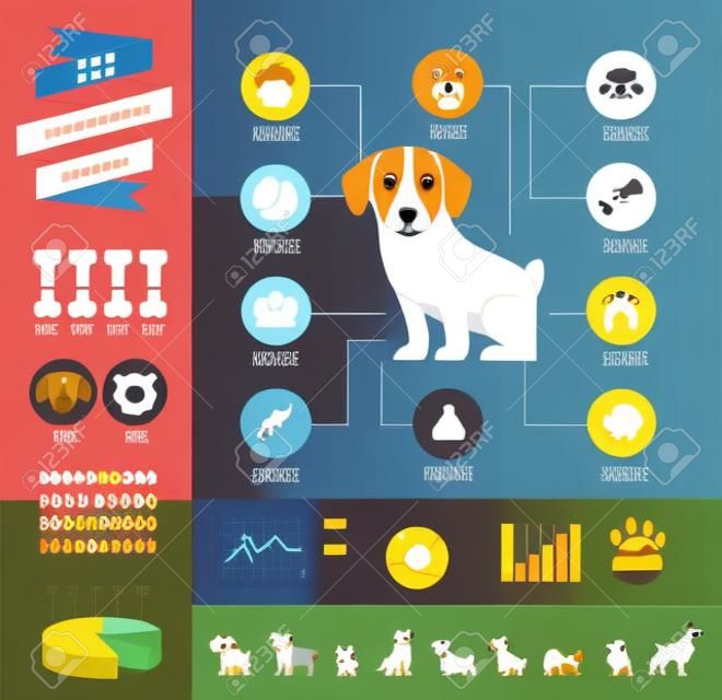 Psy infografiki - ilustracji wektorowych i zestaw ikon
