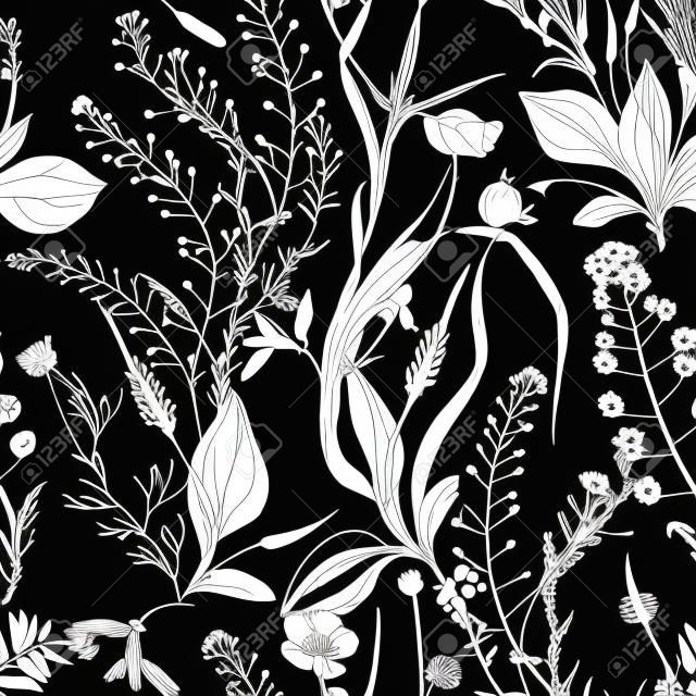 Wildkräuter und Wildblumen. Naturhintergrund. Schwarz und weiß. Umriss- und Silhouettenzeichnung auf weißem Hintergrund.