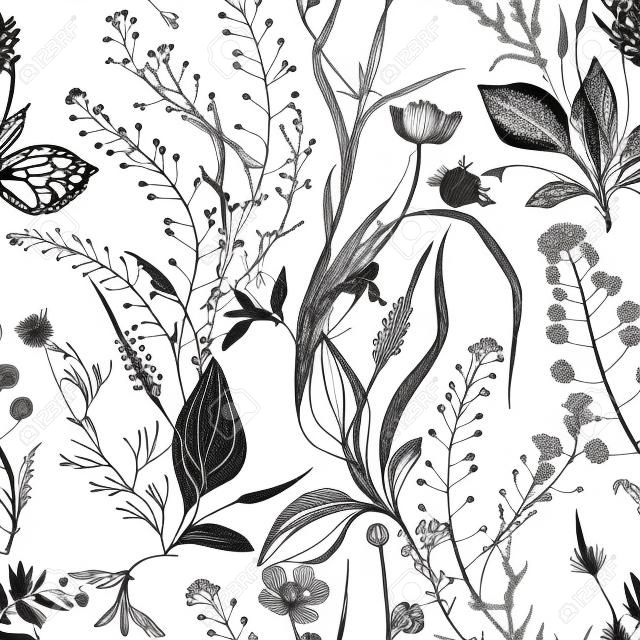 Wildkräuter und Wildblumen. Naturhintergrund. Schwarz und weiß. Umriss- und Silhouettenzeichnung auf weißem Hintergrund.