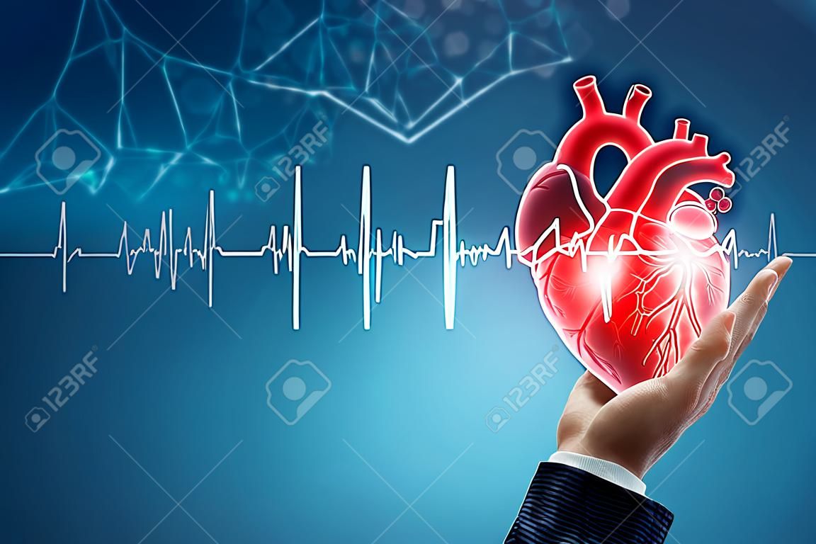 Hologramme du coeur humain dans la main et ligne de cardiogramme. Le concept de transplantation, don, organe, don, charité, santé