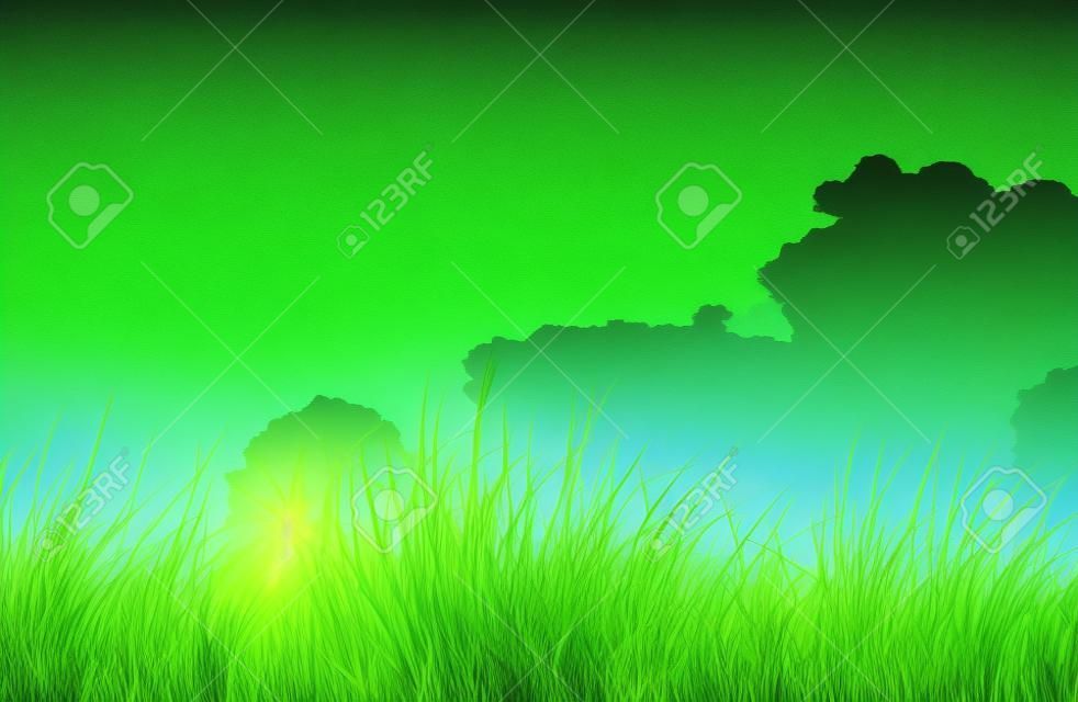 Ein Bild von einem grünen Gras Hintergrund