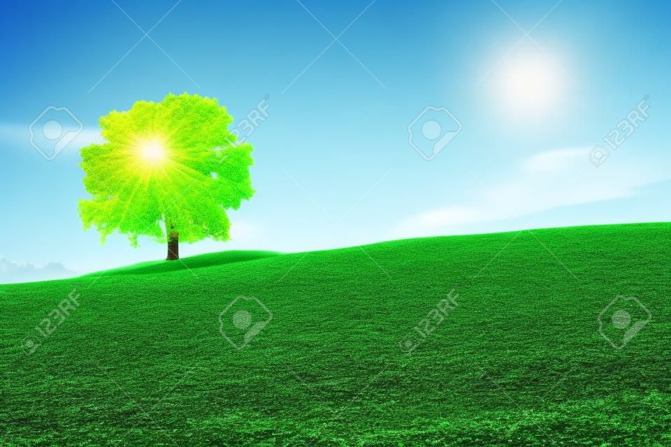 Un bellissimo albero nel prato verde sotto un cielo blu