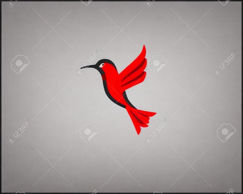 Logo dell'icona del colibrì e vettore del modello di simboli