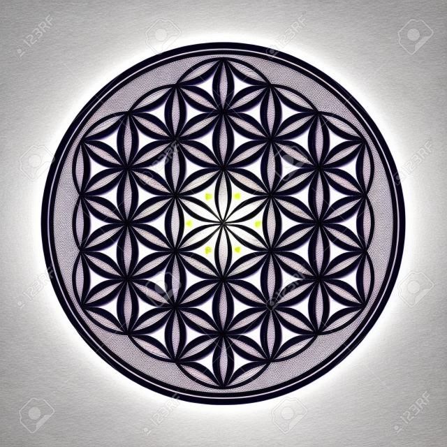 Flor de la vida: se forman círculos que se cruzan.