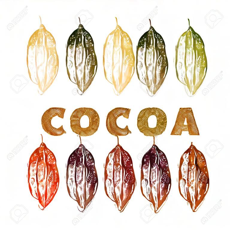 ręcznie rysowane ziarna kakaowego ustalone w kolorze