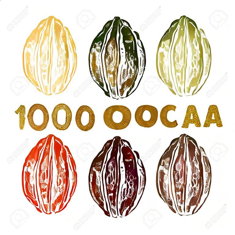 hand drawn cocoa beans set in color