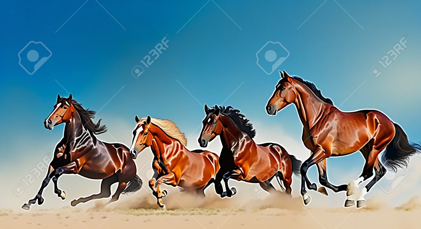 Beautiful horses on the wild against the blue skies