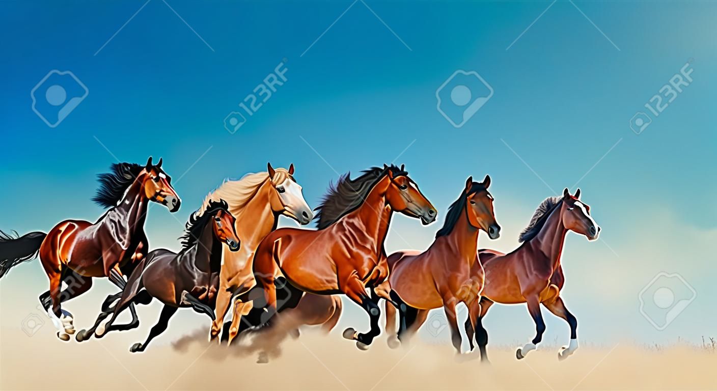 Schöne Pferde in freier Wildbahn gegen den blauen Himmel