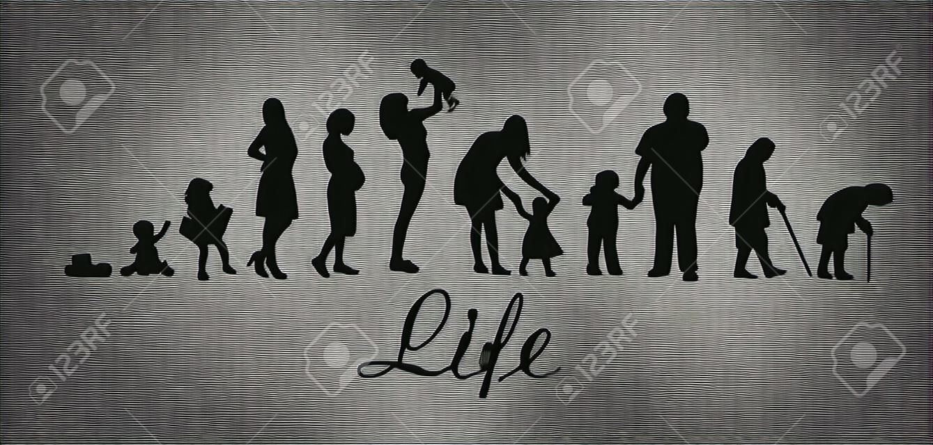 Silhuetas de pessoas. O ciclo da vida. Silhuetas de mulheres desde o nascimento até a velhice. Ilustração vetorial