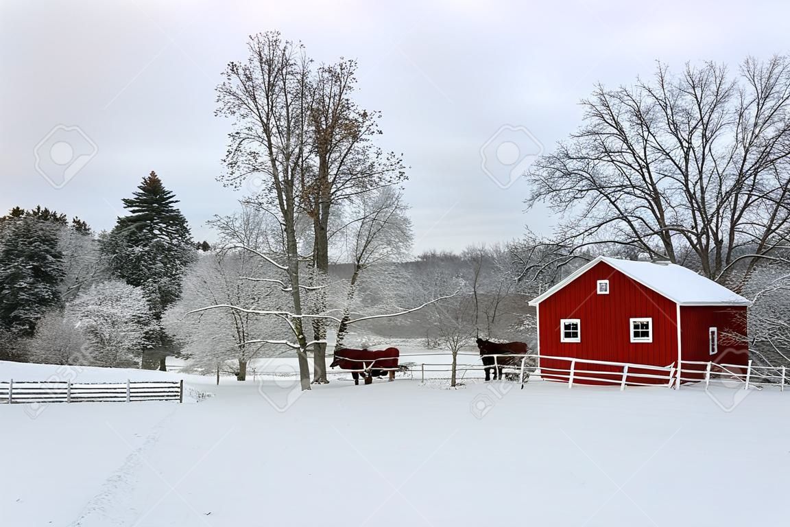 Rural landscape with red barns, trees and road covered by fresh snow. Scenic winter view at Wisconsin, Midwest USA, Madison area.