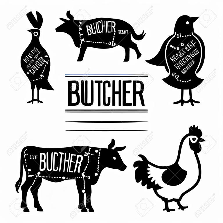 Cut of meat, diagram for butcher. Poster for butcher shop. Guide for cutting. Vector illustration.