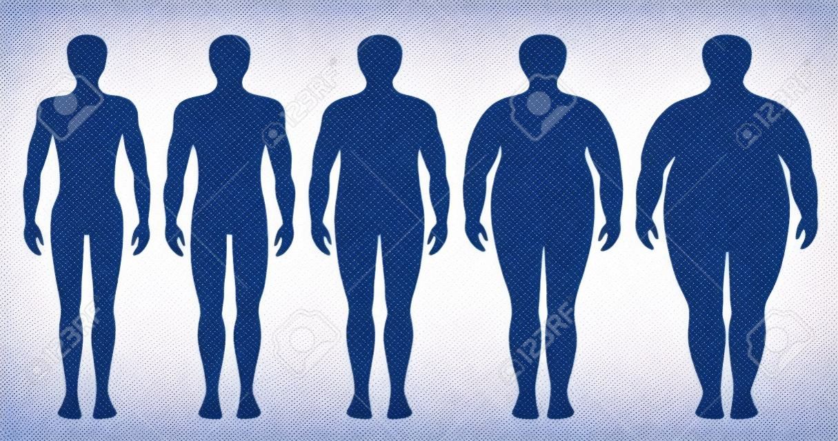 Body Mass Index Vektor-Illustration von Untergewicht zu extrem fettleibig. Mann Silhouetten mit verschiedenen Fettleibigkeitsgraden. Männlicher Körper mit unterschiedlichem Gewicht.