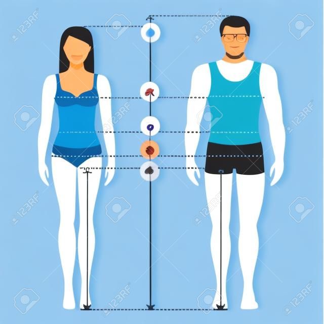 Vector illustration of man and women in full length with measurement lines of body parameters . Man and women sizes measurements. Human body measurements and proportions. Flat design.