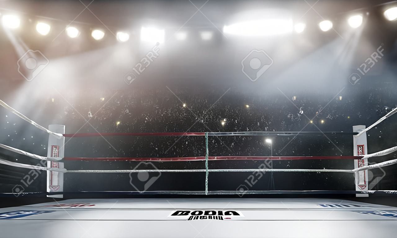 arena profesional del boxeo en las luces representación 3d