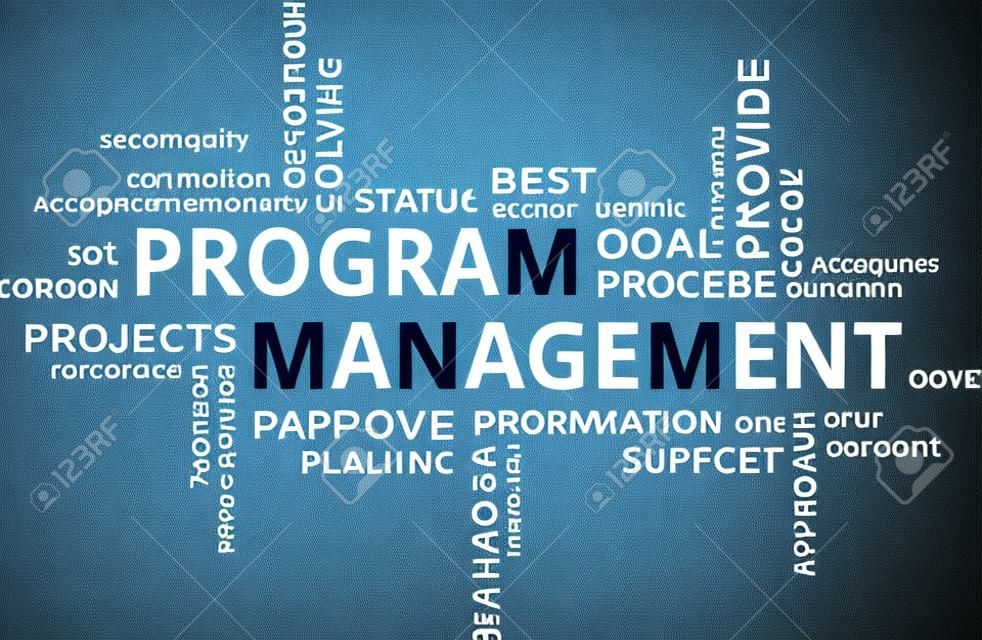 A word cloud of program management related items