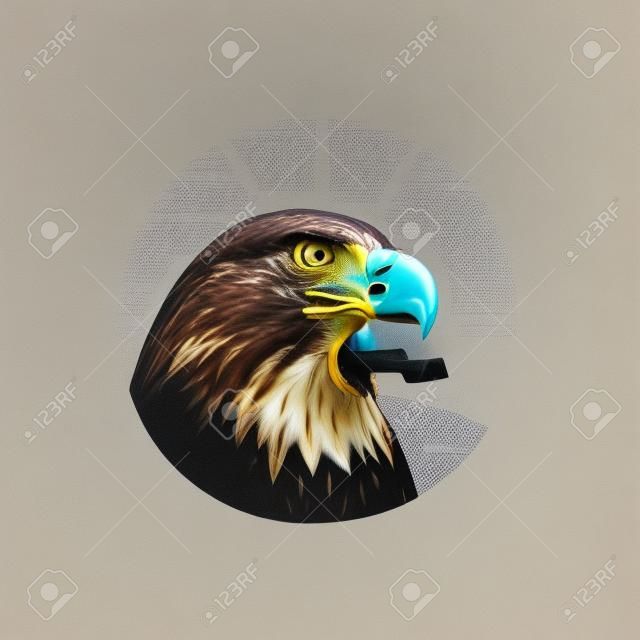 Head of an eagle or hawk, bird of prey, stern look, frown.