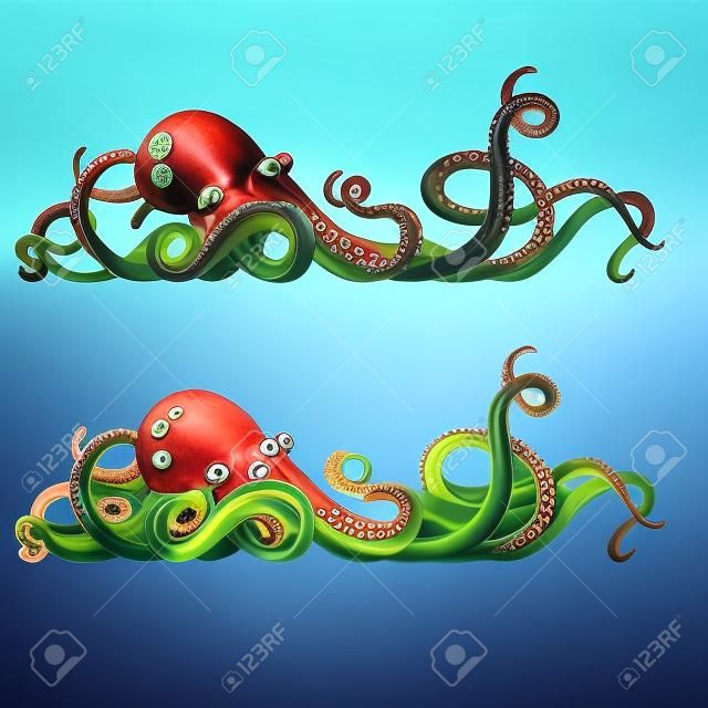 Octopus csápok