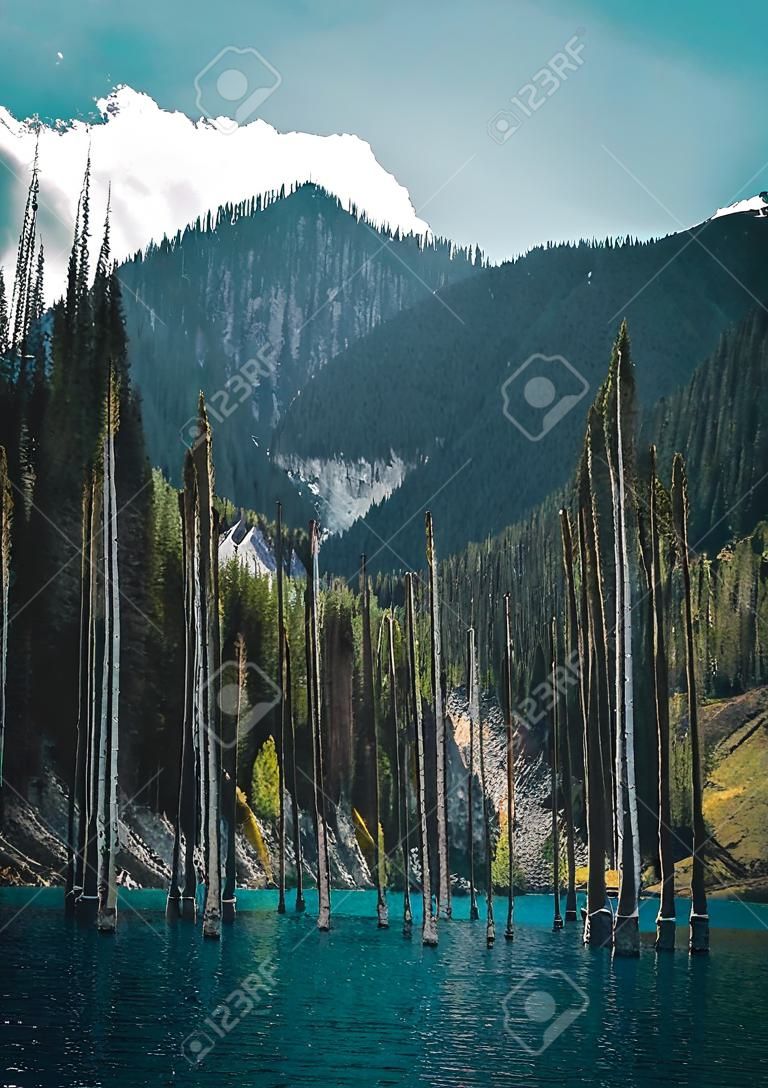 The sunken forest of Lake Kaindy. Lake Kaindy, meaning the "birch tree lake" is a 400-meter-long lake in Kazakhstan that reaches depths near 30 meters in some areas.