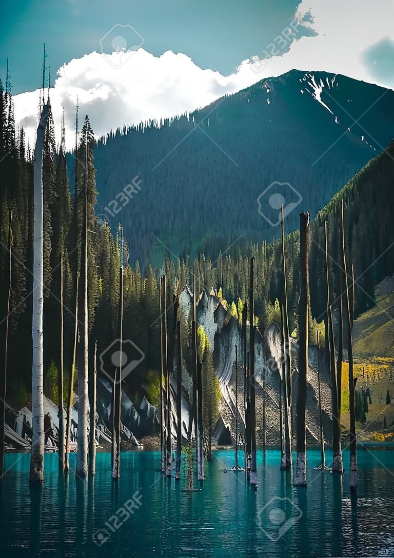 Het gezonken bos van het Kaindymeer. Kaindymeer, wat betekent dat het "meer van de berkenboom" een meer van 400 meter lang is in Kazachstan dat in sommige gebieden bijna 30 meter diepte bereikt.