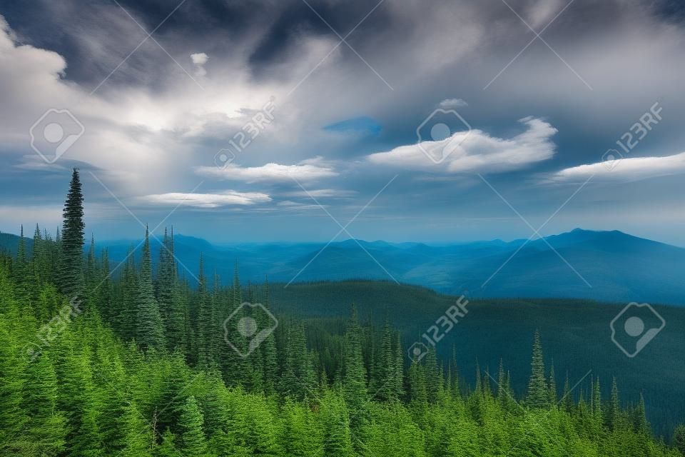 Vista dal Monte Revelstoke attraverso la foresta con cielo blu e nuvole. Columbia Britannica Canada. Foto scattata in Canada.