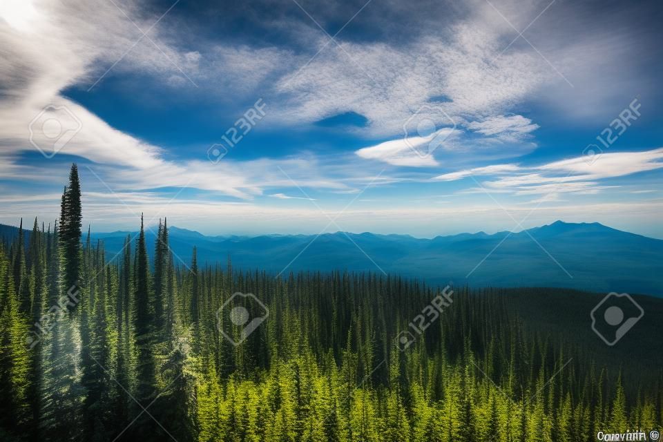 Vue depuis le mont Revelstoke à travers la forêt avec ciel bleu et nuages. Colombie-Britannique Canada. Photo prise au Canada.