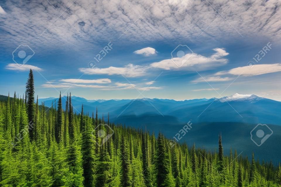Blick vom Mount Revelstoke über den Wald mit blauem Himmel und Wolken. Britisch-Kolumbien Kanada. Foto in Kanada aufgenommen.