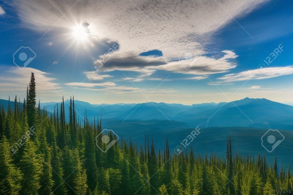 View from Mount Revelstoke across forest with blue sky and clouds. British Columbia Canada. Photo taken in Canada.
