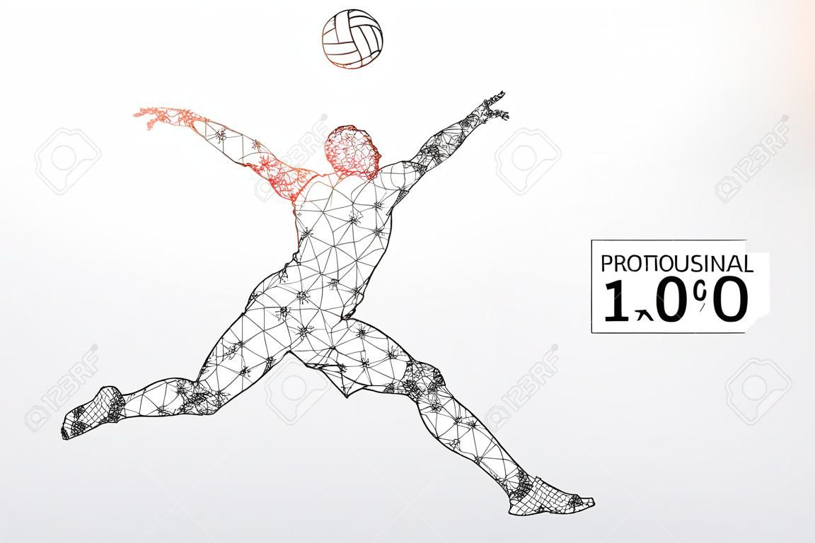 Silueta de jugador de voleibol. Ilustración vectorial