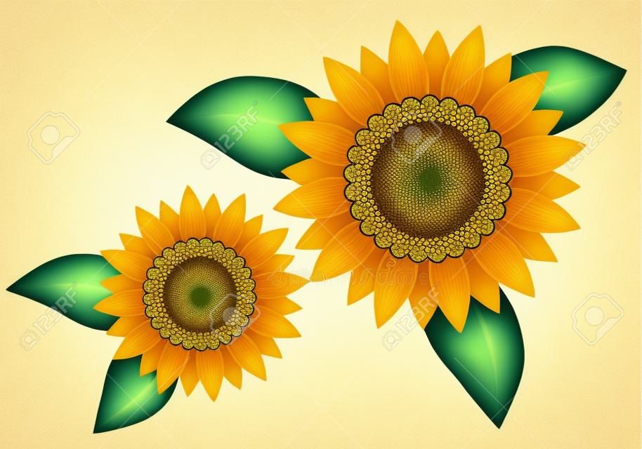 Sunflower illustration motif (summer flowers)